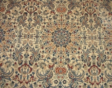 Rug 1170  Naeen