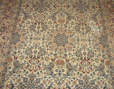 Rug 1170 Naeen