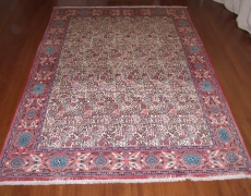 Rug FR109 Sanadaj