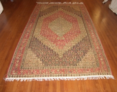 Rug FR193 Sanandaj