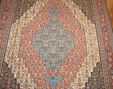 Rug FR194