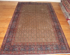 Rug NR1