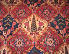 Rug NR51 Bakhtiar