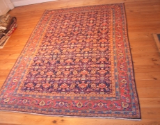 Rug NR54  Sarog